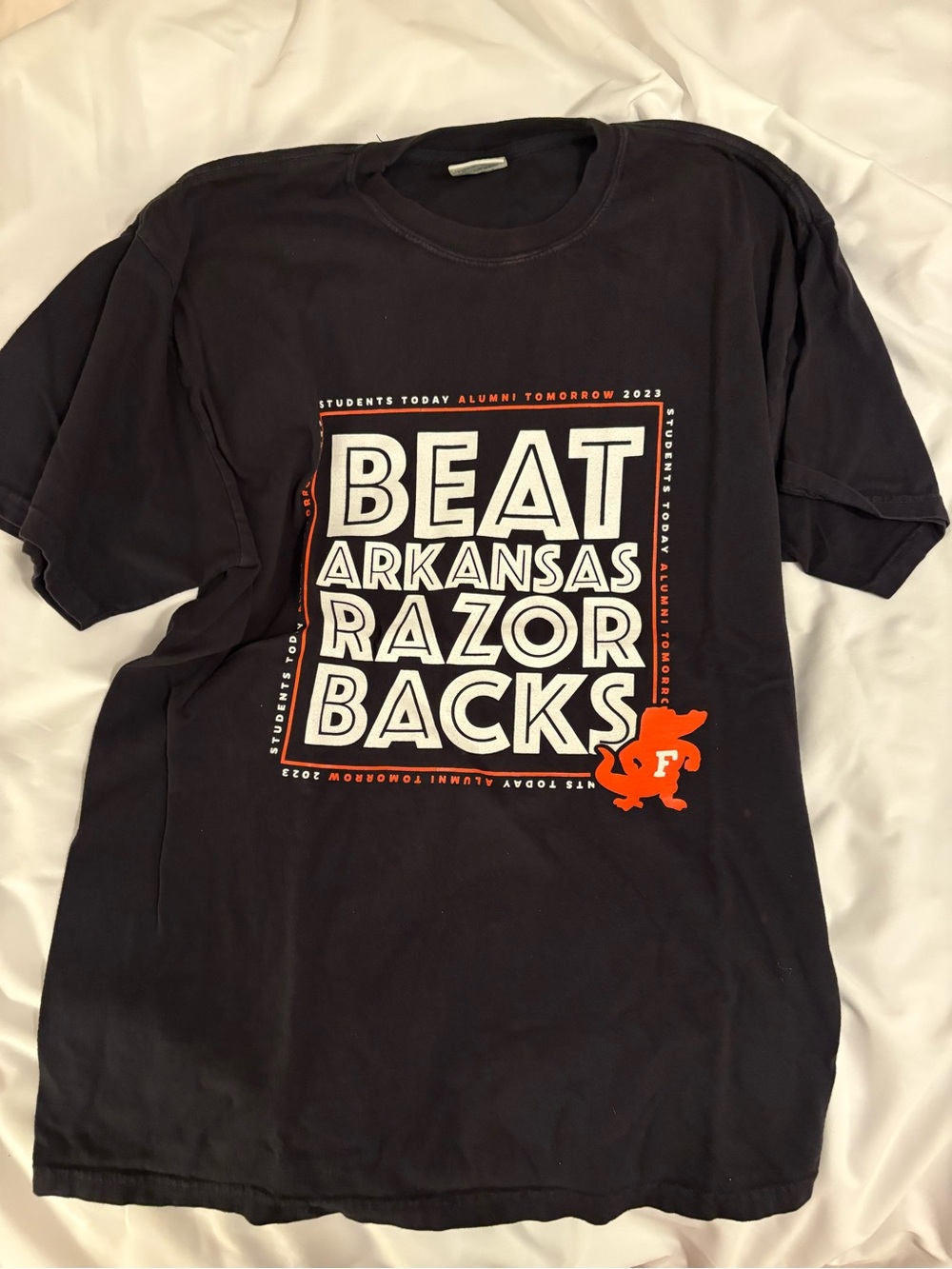 University of Florida Gators Beat Arkansas Razorbacks